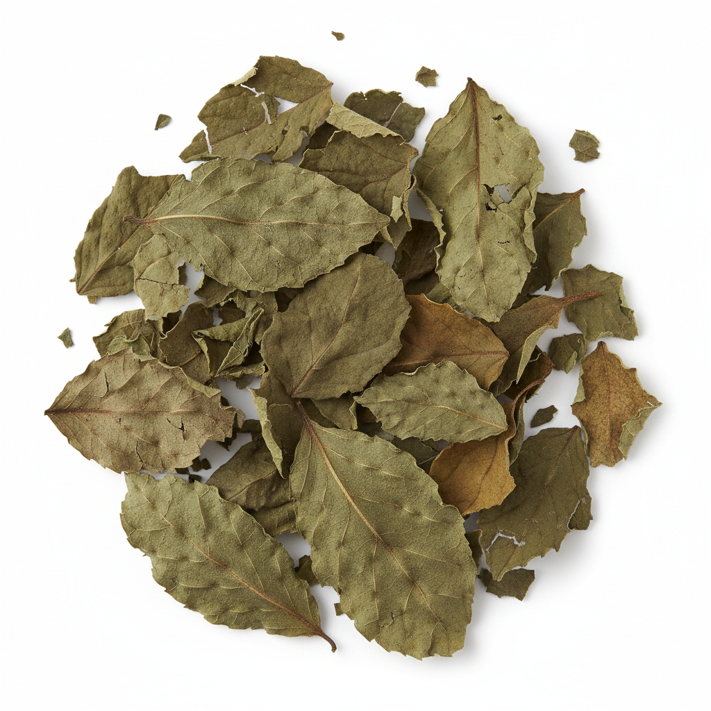 Dried Prodigiosa herb leaves flat lay on white background